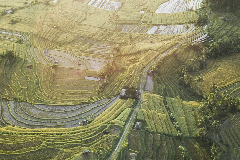 144ONTOUR - Wyjazd na Bali