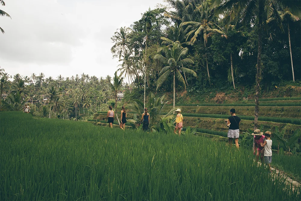 144ONTOUR - Wyjazd na Bali